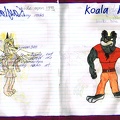 Character - Koala Kong