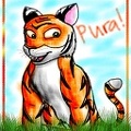 Pura the Tiger2