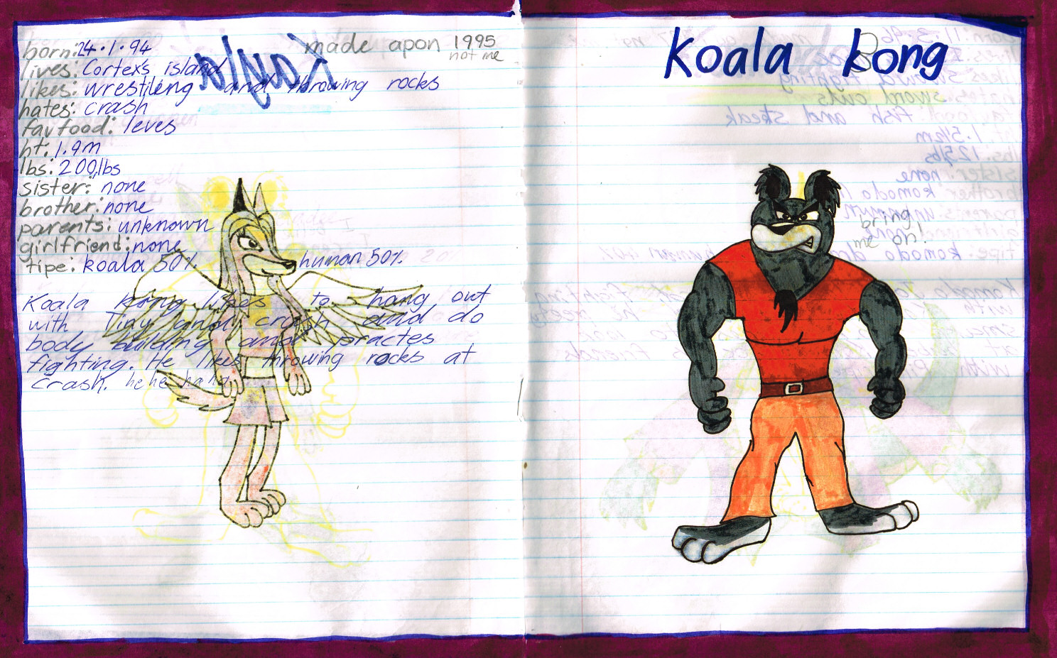 Character - Koala Kong.jpg