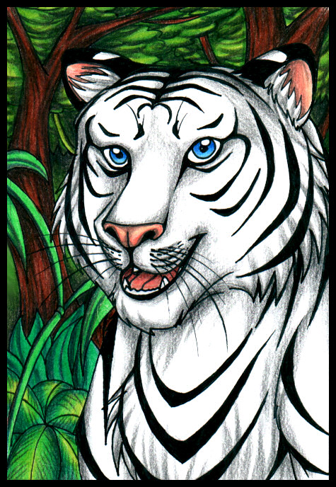 White Tiger new.jpg
