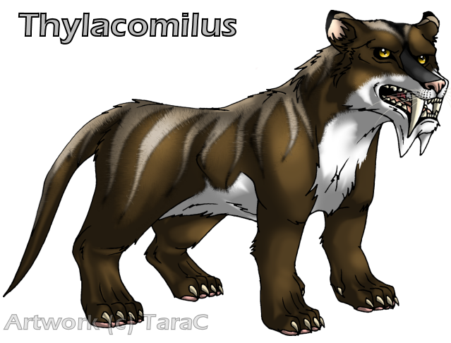 Thylacomilus.png