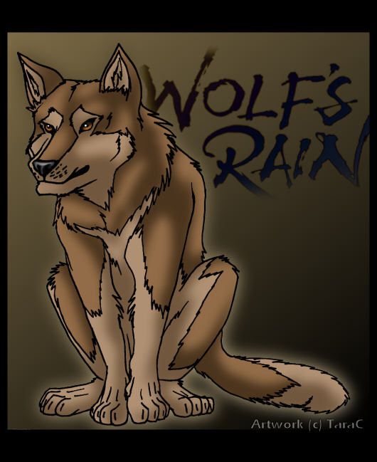 Wolfs Rain - Toboe.jpg