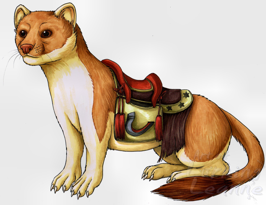 Commission - Riding Weasel.jpg