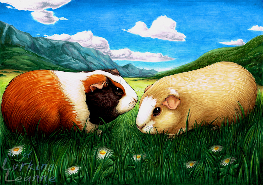 Commission - Guinea pigs.jpg